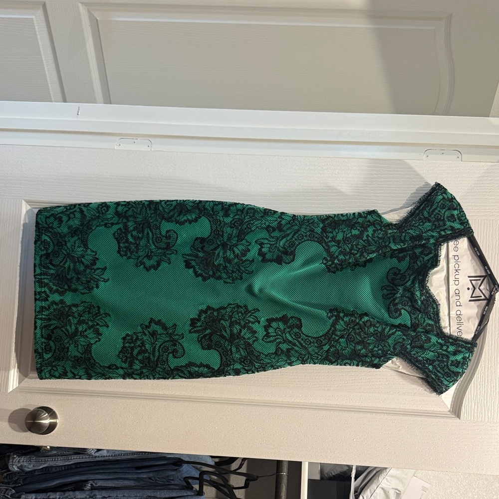 Tadashi Shoji Green and Black Lace Mini Dress